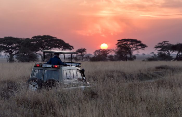 Leisure & Holiday Tours